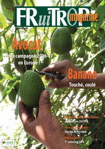 Miniature du magazine Magazine FruiTrop n°251 (jeudi 05 octobre 2017)
